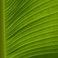 Image Not Available